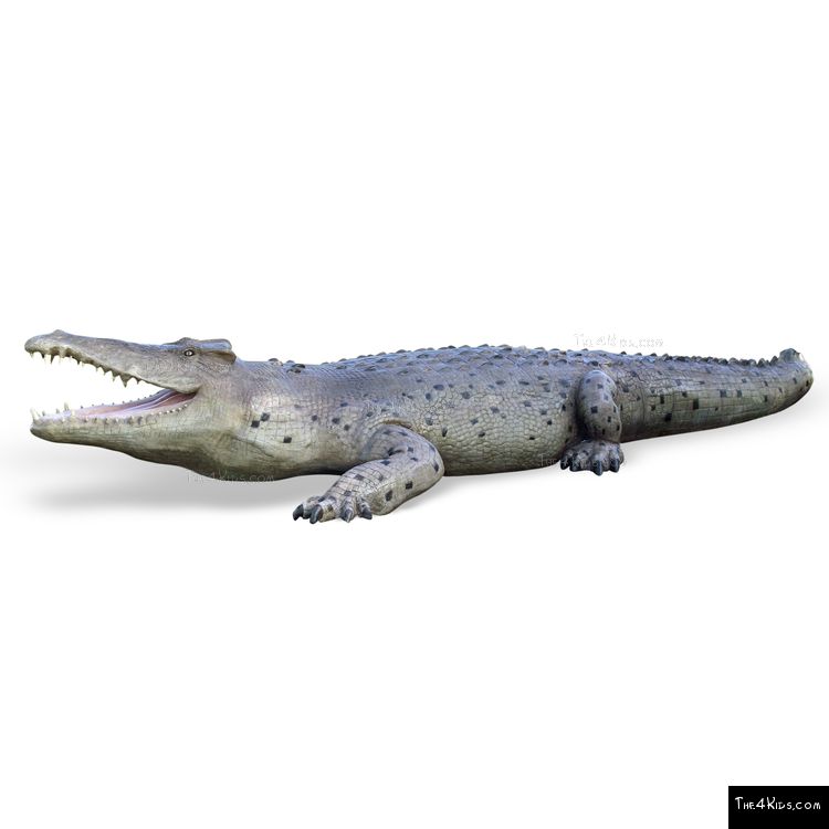 Image of 29ft Crocodile Play Sculpture
