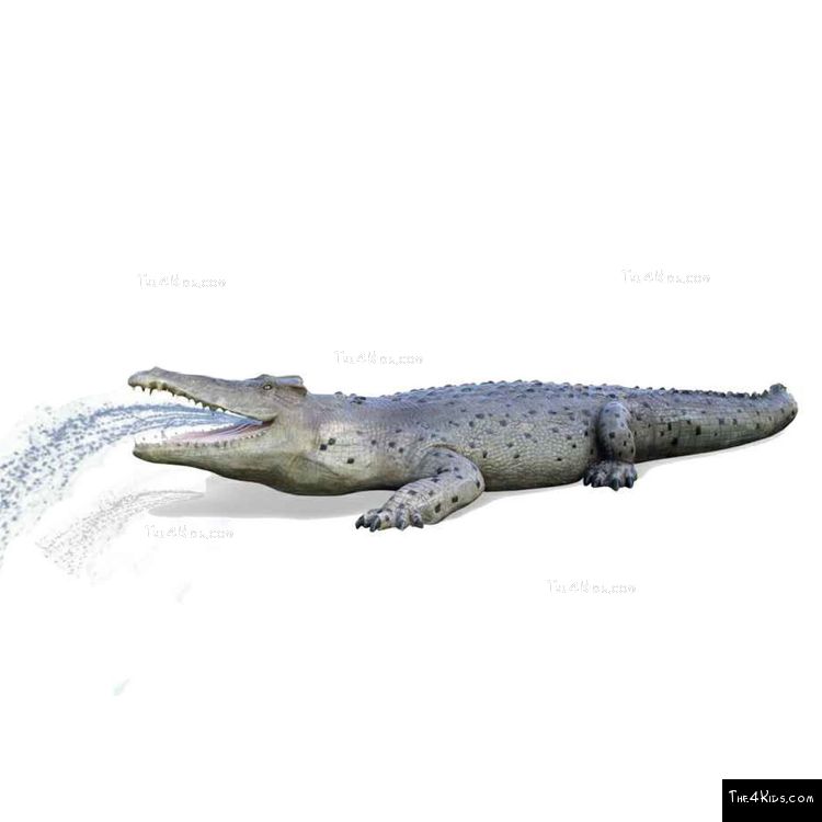 Image of 29ft Crocodile Play Sculpture