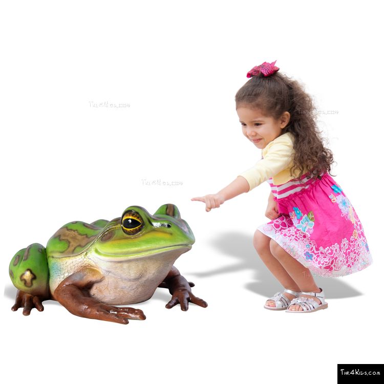 Image of Colorful Frog Play Sculpture