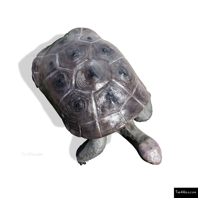Image of Tortoise Play Sculpture