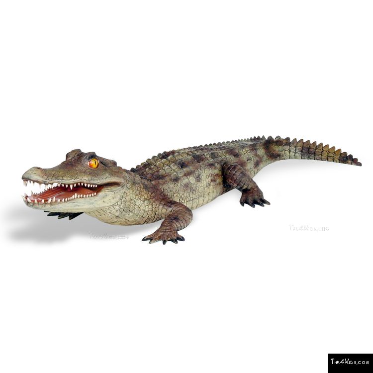 Image of 7ft Caiman Alligator