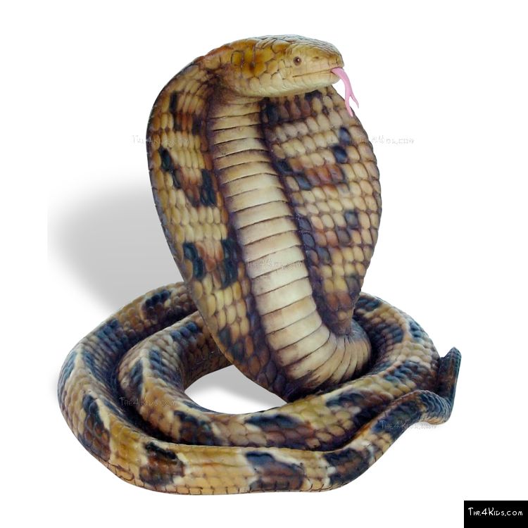 Image of Cobra Sculpture