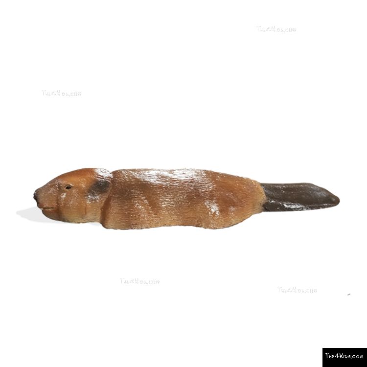 Image of Swimming Beaver