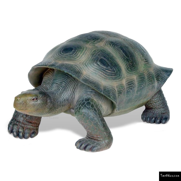 Image of Turtle Sculpture