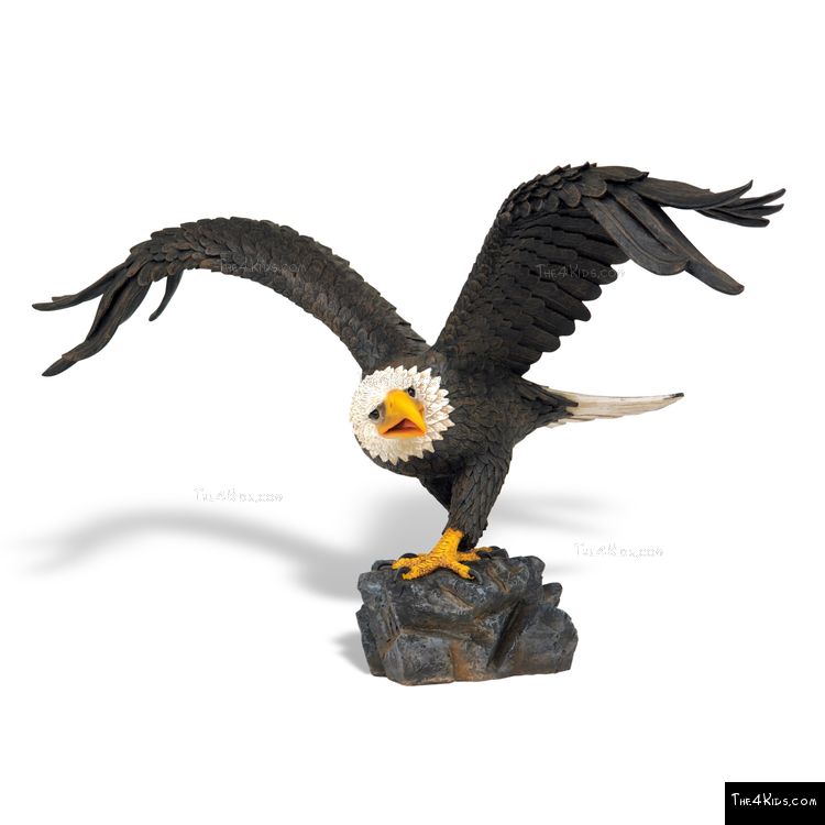 Image of American Eagle