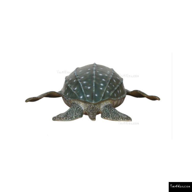 Image of Leatherback Turtle
