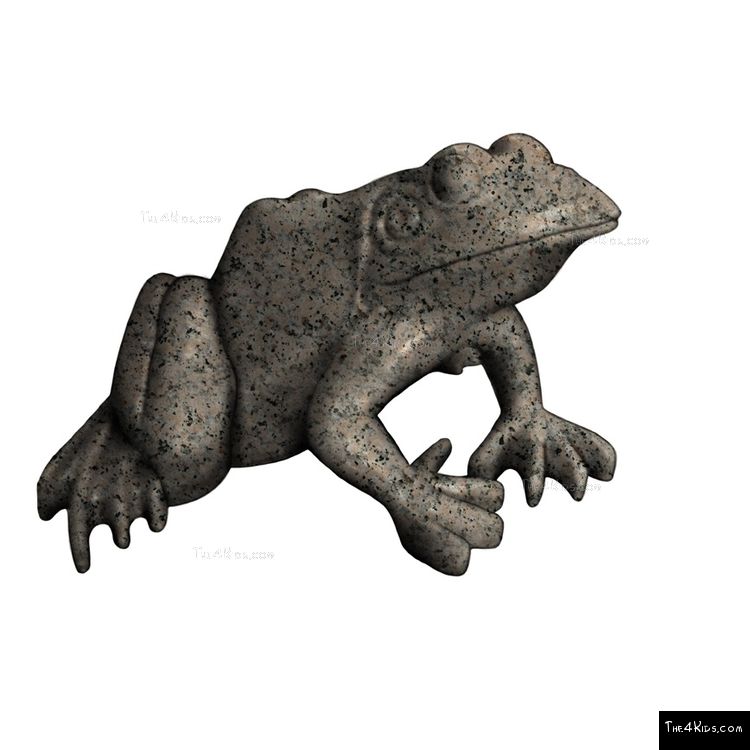 Image of Large Frog