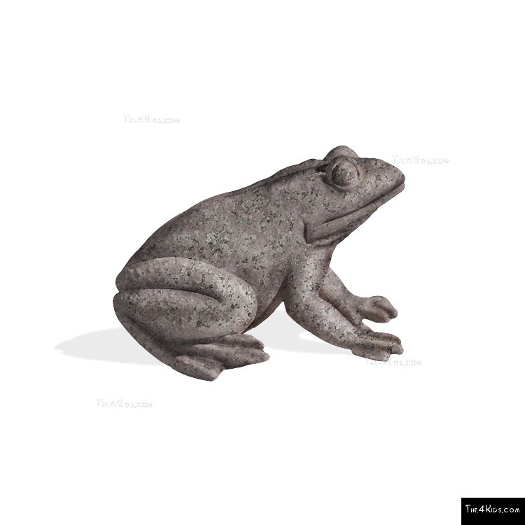 Image of Large Frog