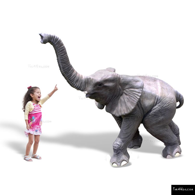 Image of Baby Elephant