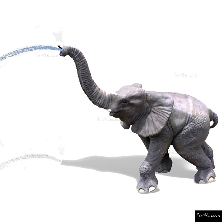 Image of Baby Elephant