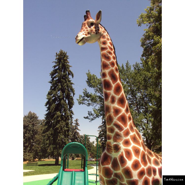 Image of 12ft Giraffe