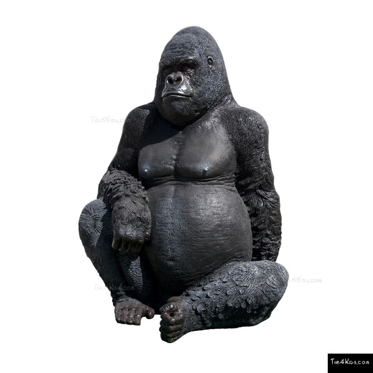Image of Silver Back Gorilla