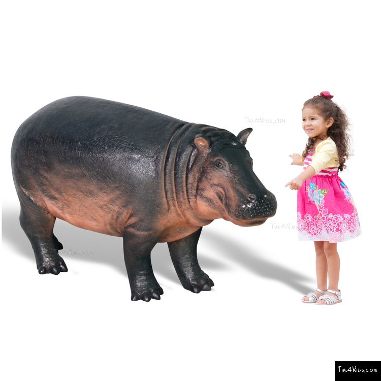 Image of Hippopotamus Baby