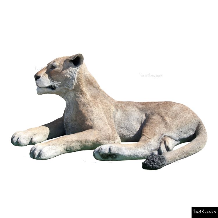 Image of Lying Lioness