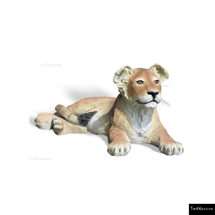 Image of Lying Lion Cub