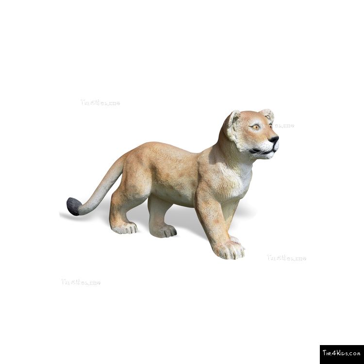 Image of Lion Cub Standing
