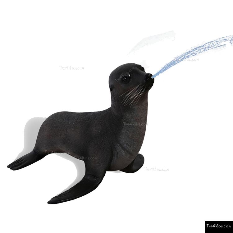 Image of Baby Fur Seal