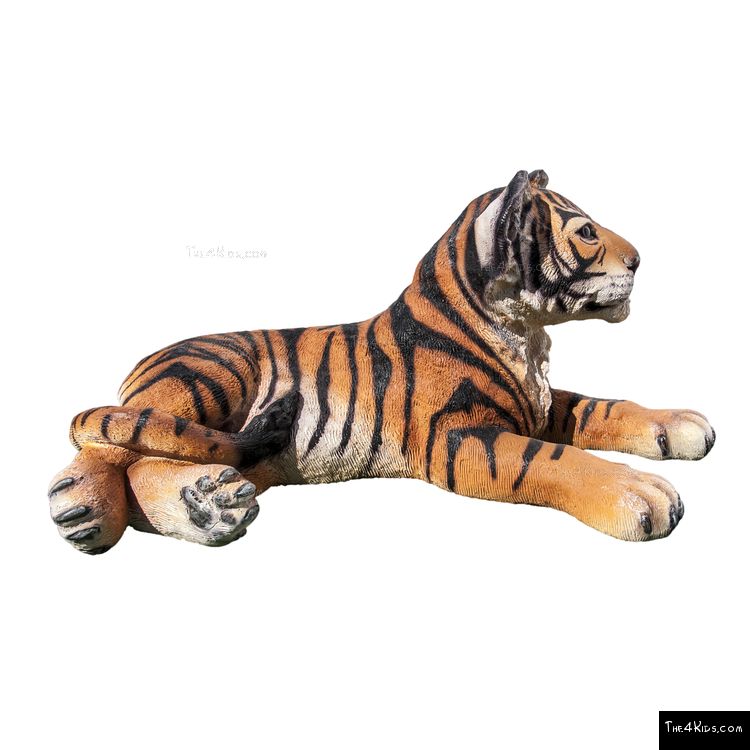 Image of Tiger Cub Lying