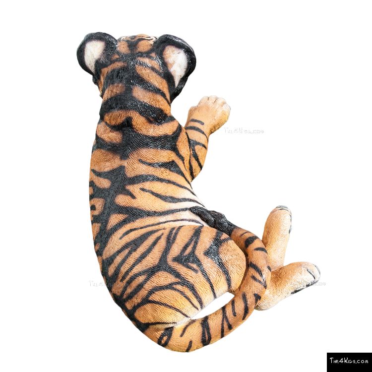 Image of Tiger Cub Lying