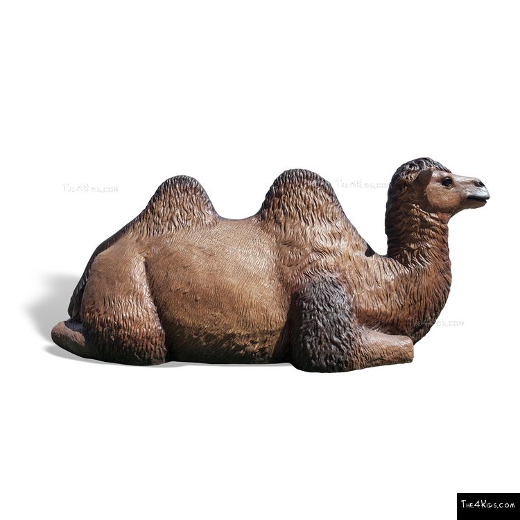 Image of Camel Play Sculpture