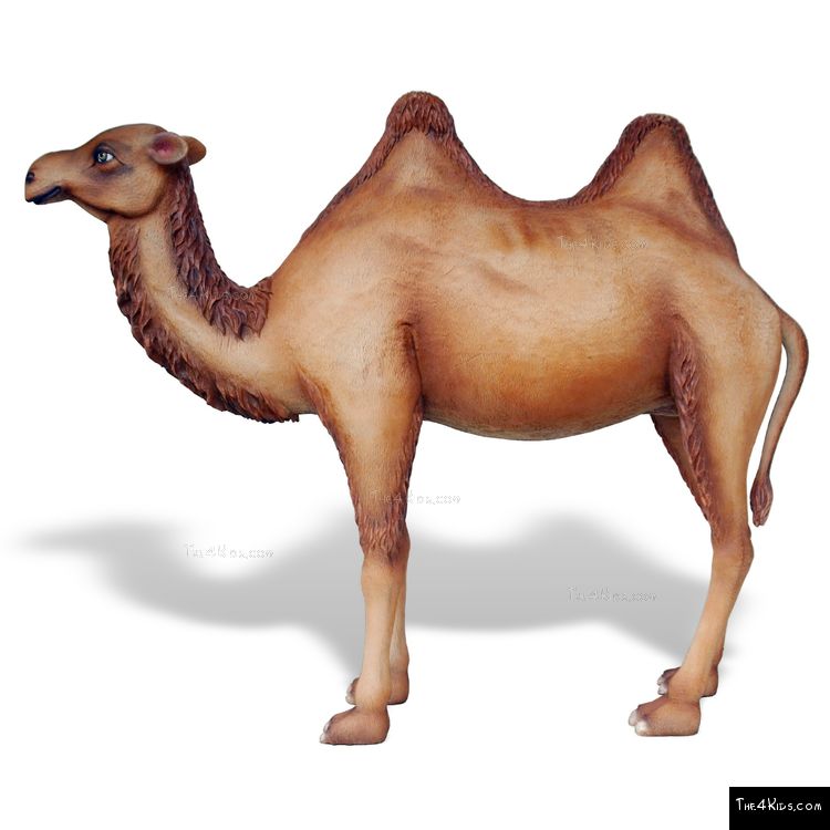 Image of 7ft Standing Camel Sculpture