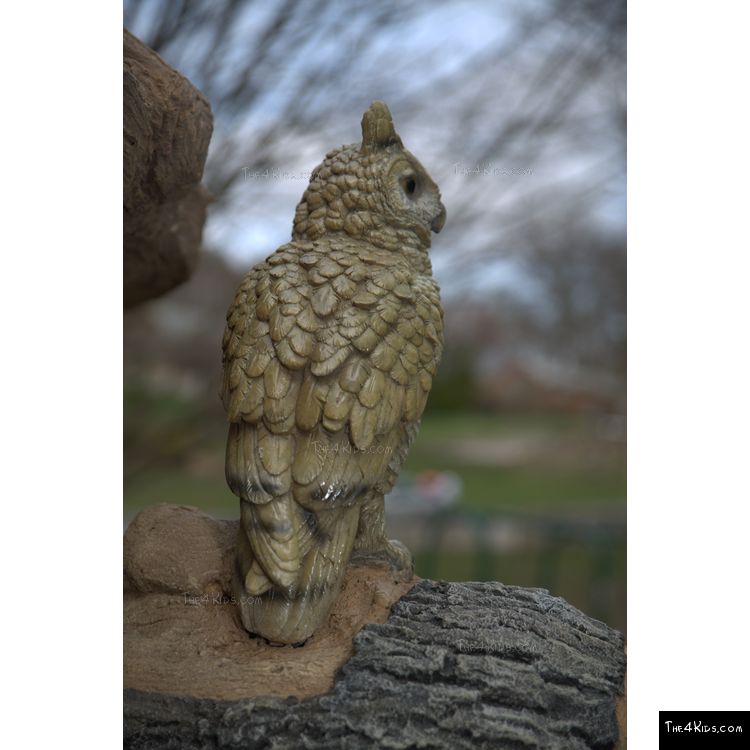 Image of Wise Owl Sculpture