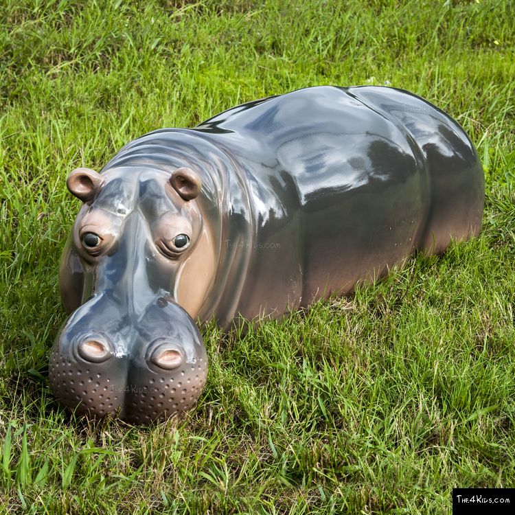 Image of Sunken Hippo