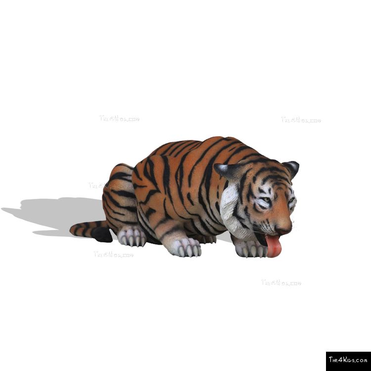 Image of Bengal Tiger Drinking