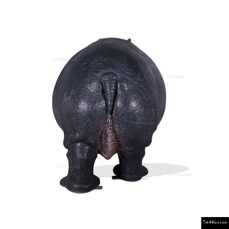 Image of Large Hippopotamus