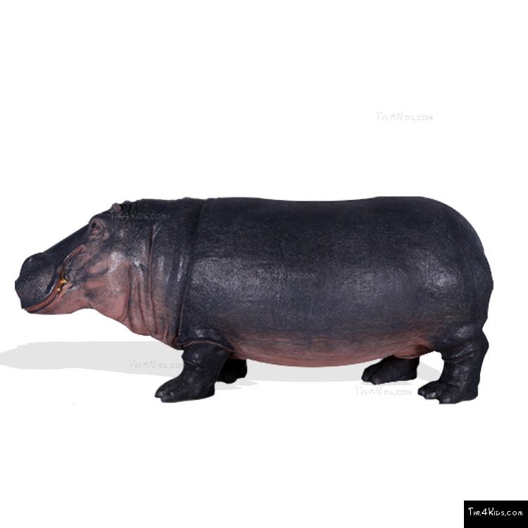 Image of Large Hippopotamus