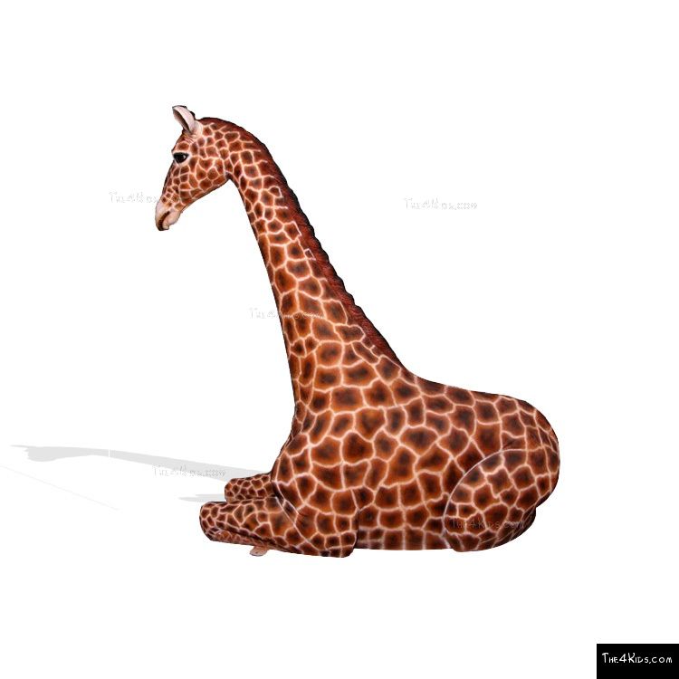 Image of 7ft Resting Giraffe