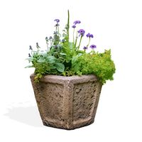 Abbott Planter