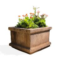 Adobe Wells Planter Box
