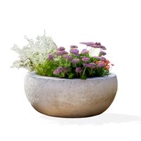 Thumbnail of Caesar Bowl Planter