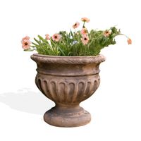 Thumbnail of Magnus Urn Planter