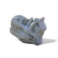 DinoBonz T-Rex Skull Climber