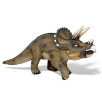 Thumbnail of Young Triceratops Sculpture