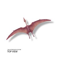 Thumbnail of Pterosaur Sculpture