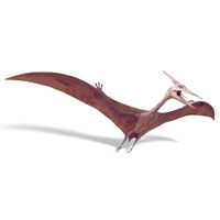 Pterosaur Sculpture