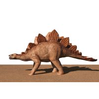 Thumbnail of Young Stegosaurus
