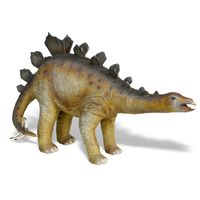 Thumbnail of Baby Stegosaurus
