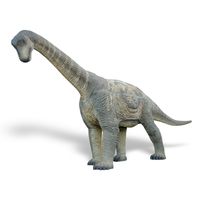 Camarasaurus Sculpture