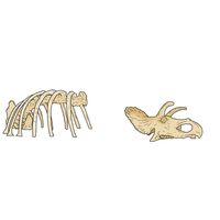 Thumbnail of Triceratops Bones Climber
