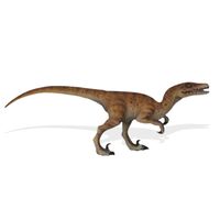 Thumbnail of Hunting Velociraptor