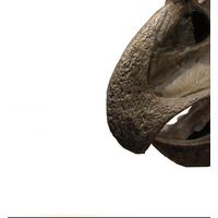 Thumbnail of Protoceratops Fossil Climber