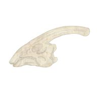 Thumbnail of Parasaurolophus Fossil Dig