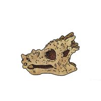 Thumbnail of Dragon Head Fossil Dig