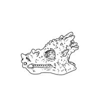 Thumbnail of Dragon Head Fossil Dig