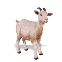 Thumbnail for Goat Sculpture