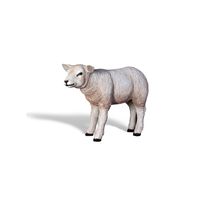Thumbnail of Standing Lamb